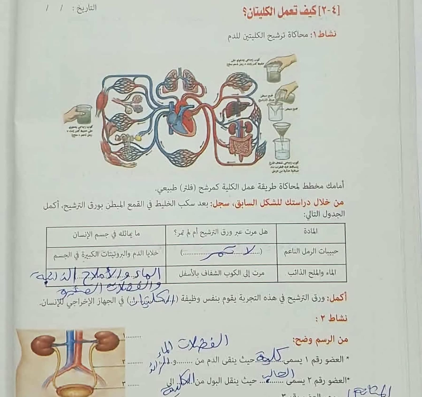 حل تقييمات علوم6